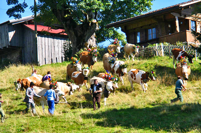 Waldegg Beatenberg / Foto: Fritz Bieri