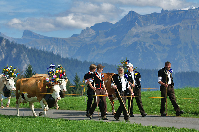 Alpabzug / Foto: Fritz Bieri