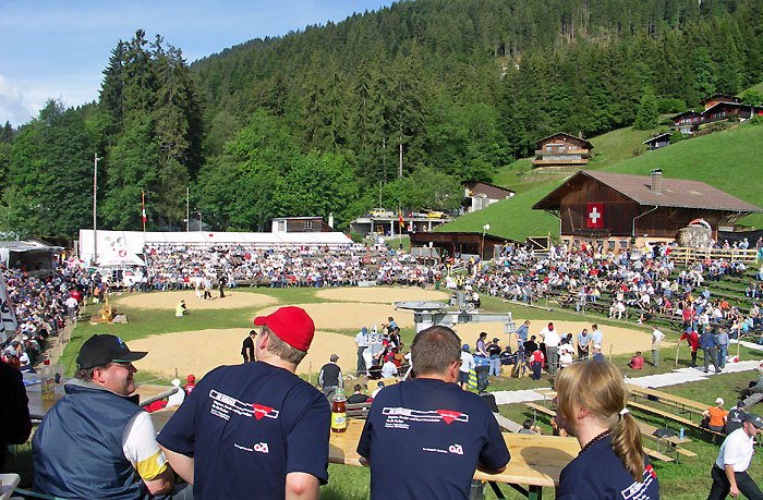 ... Schwingerarena ... / Foto: Heinz Rieder