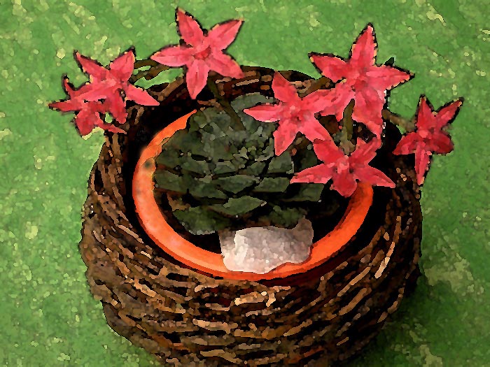 Blumen verändert - Malerei