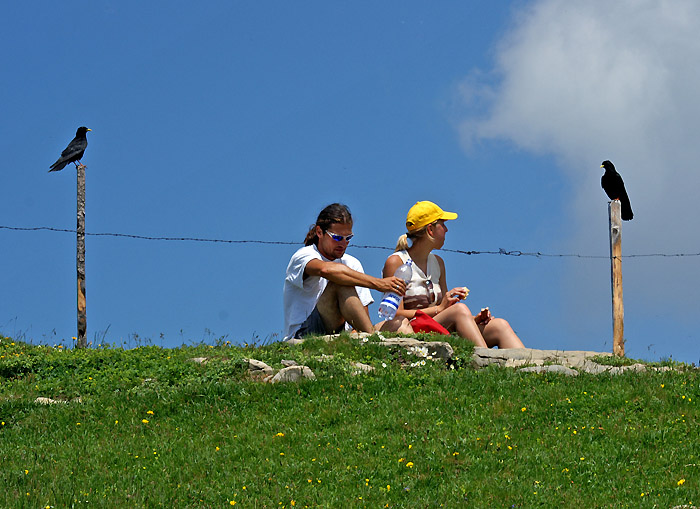 Picknick / Foto: Fritz Bieri