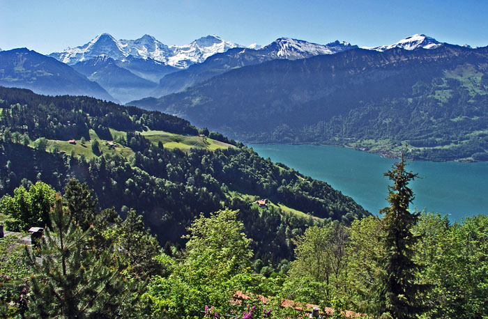 Im Mai 2007 / Jungfraumassiv / Thunersee / Foto: Heinz Rieder