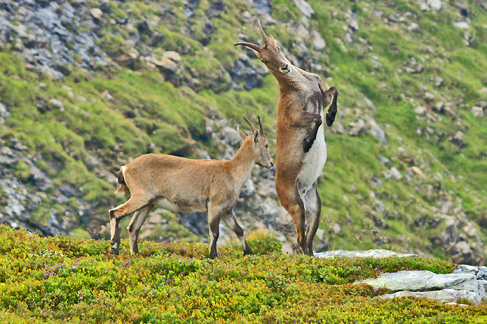 Bilder aktuell / Foto: Fritz Bieri