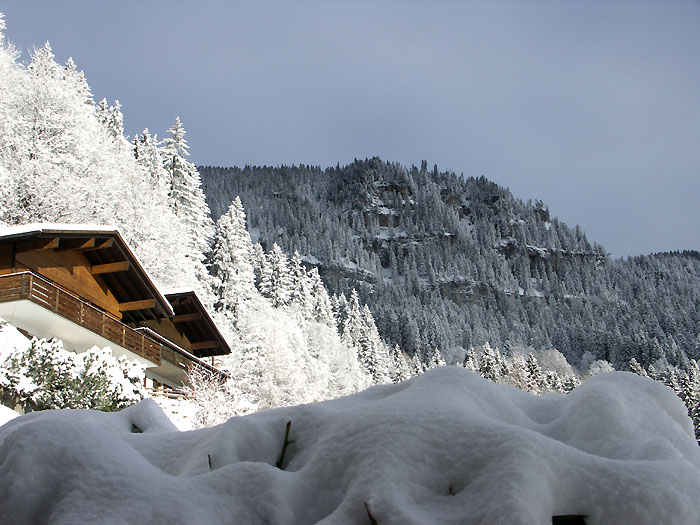 Winterlandschaft obere Matte / Foto: Heinz Rieder