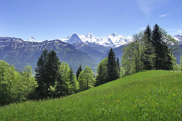 Beatenberg: Wiese mit Jungfraublick / Foto: Heinz Rieder