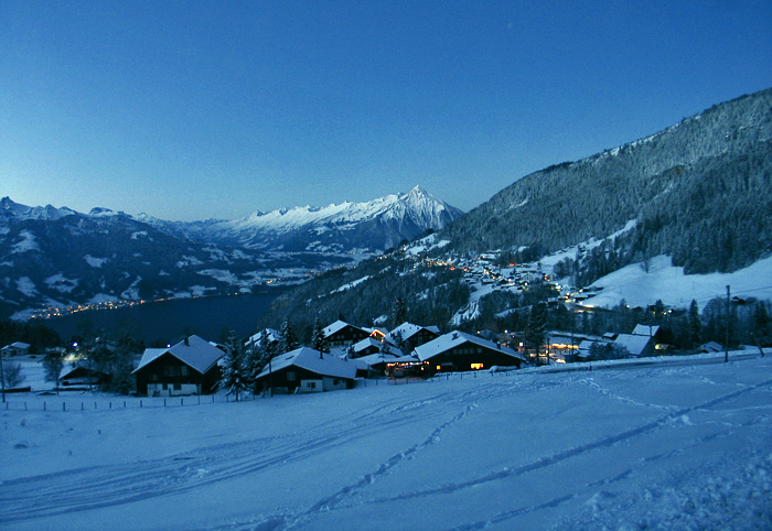 Beatenberg Waldegg und Spirenwald / Foto: Fritz Bieri