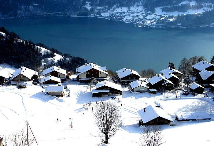 Beatenberg Spirenwald / Thunersee / Foto: Heinz Rieder