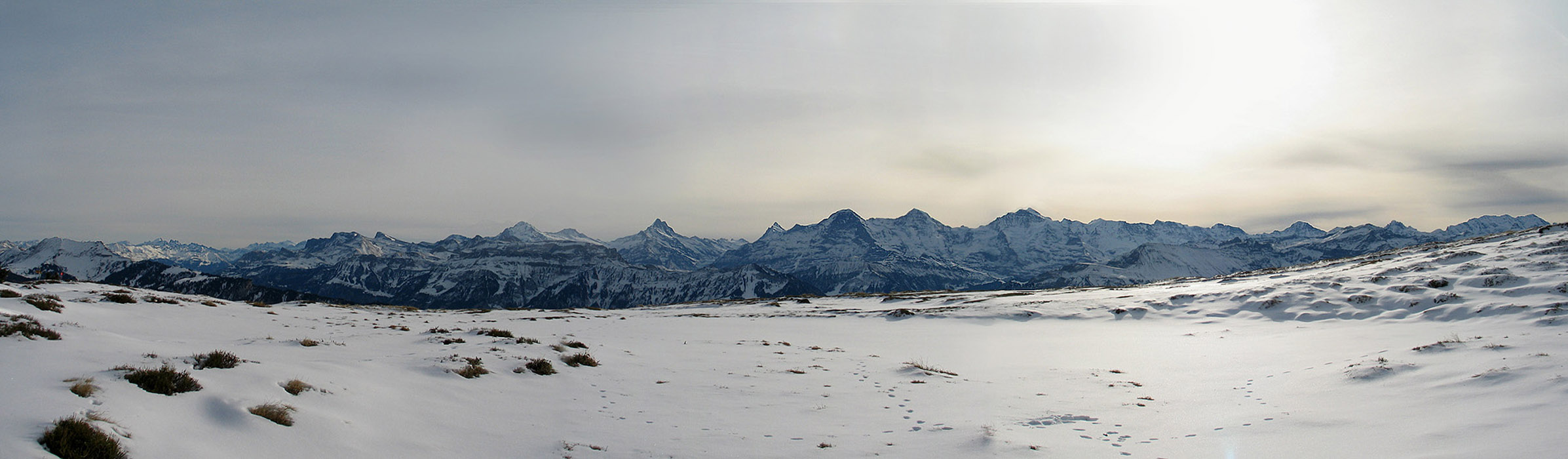 « zurück / Foto: F.Bieri