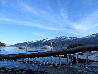 Winter am See (Foto: Fritz Bieri)