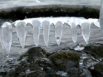 Winter am See (Foto: Fritz Bieri)