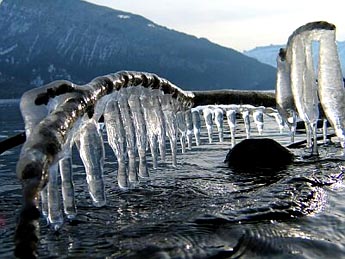 Winter am See (Foto: Fritz Bieri)